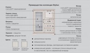 Прихожая модульная Стилиус в Кудымкаре - kudymkar.magazinmebel.ru | фото - изображение 2